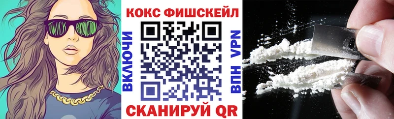 Cocaine FishScale  что такое   Саранск 