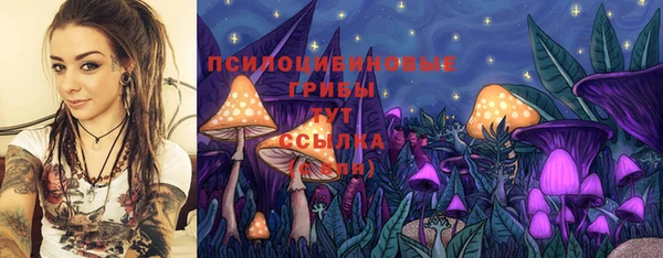 эйфоретик Алзамай