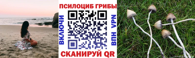 Галлюциногенные грибы прущие грибы  цена наркотик  Саранск 